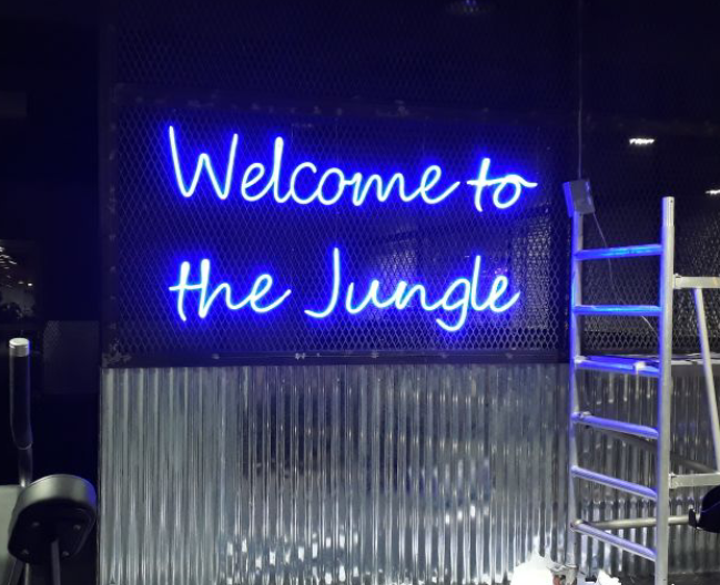 Neon Sign project 18